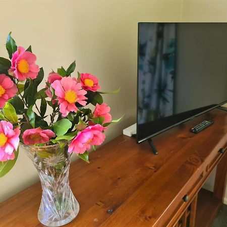 Pyes Pa Studio Appartement Tauranga Buitenkant foto